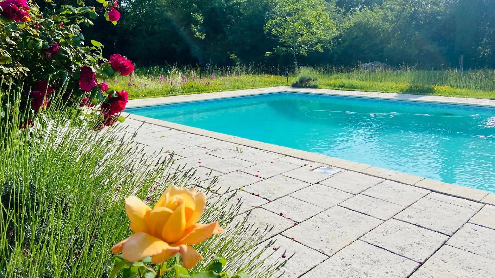 Luxuszelt Yourte Maison Oya Montréal